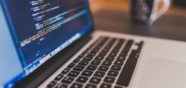 The best programming language for web design