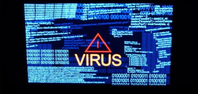 Search for computer viruses