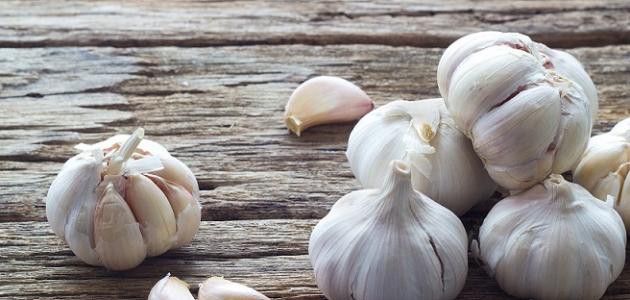 Report on the benefits of garlic