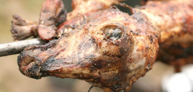How to cook lamb head