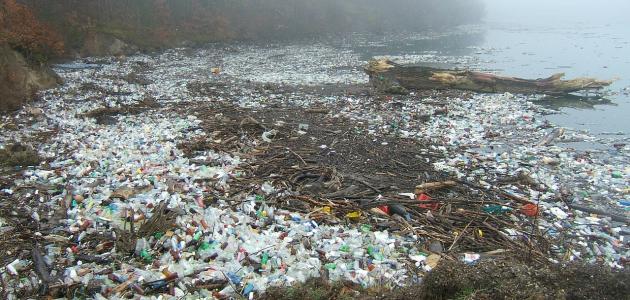 Residuos de la contaminación del medio ambiente.