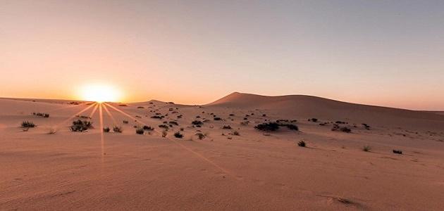 ¿Dónde se encuentra el desierto de Nefud?