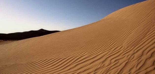 Où se trouve le désert du Néguev ?