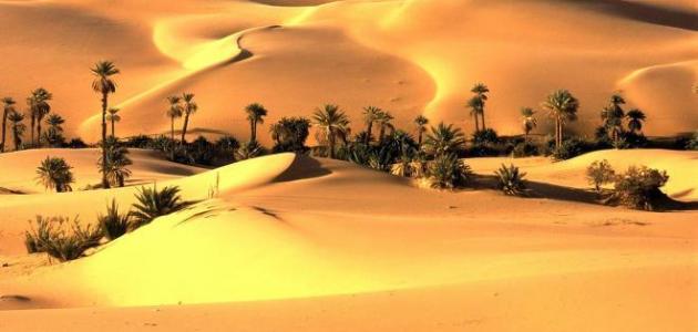 ¿Dónde está el desierto de Thar?