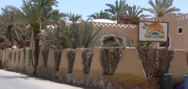 Where is Siwa Oasis located?