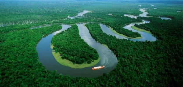 Where does the Amazon River flow?