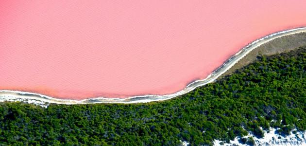 Lac rose en Australie