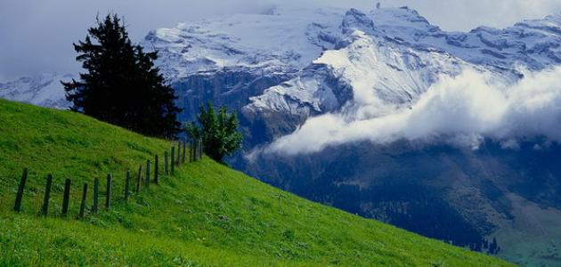Naturaleza en Suiza