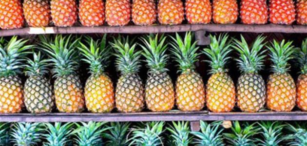 How to grow pineapple