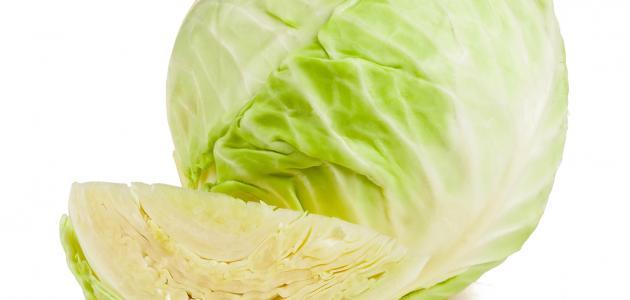 Benefits of white cabbage for diet