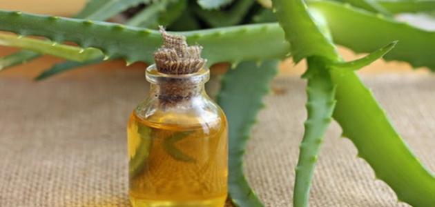 Benefits of aloe vera oil to intensify hair