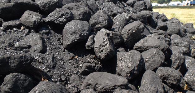 Étapes de formation du charbon