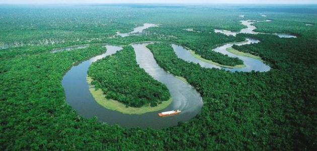 Information about the Amazon forest