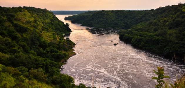 Un essai sur l'importance du Nil et notre devoir à son égard