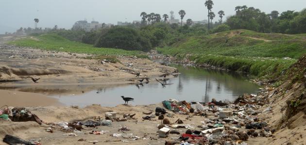 An essay on the pollution of the Nile River