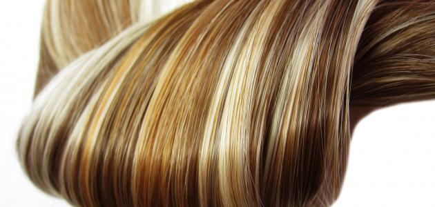 Recettes naturelles pour cheveux secs