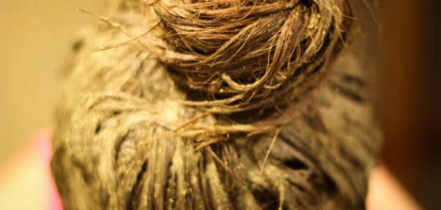Indisches Rezept, um das Haar schnell zu verlängern und mit Feuchtigkeit zu versorgen