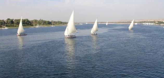 بحث حول نهر النيل