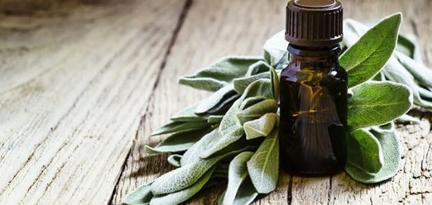 Beneficios del aceite de salvia para la piel