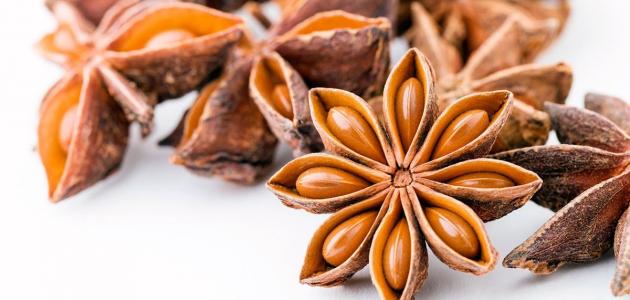 Benefits of anise oil for the skin