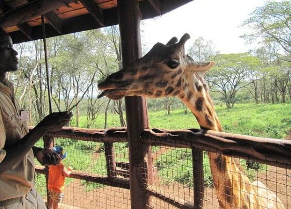 Tourismus in Nairobi, Kenia