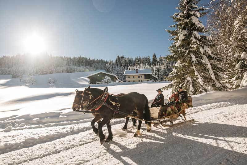 سالزبورغ في الشتاء كيف يمكنك الاستمتاع في جوهرة النمسا الساحرة