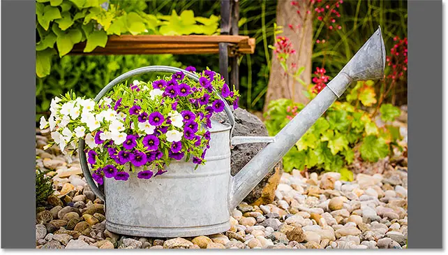 Affichez un aperçu en plein écran dans Adobe Bridge.