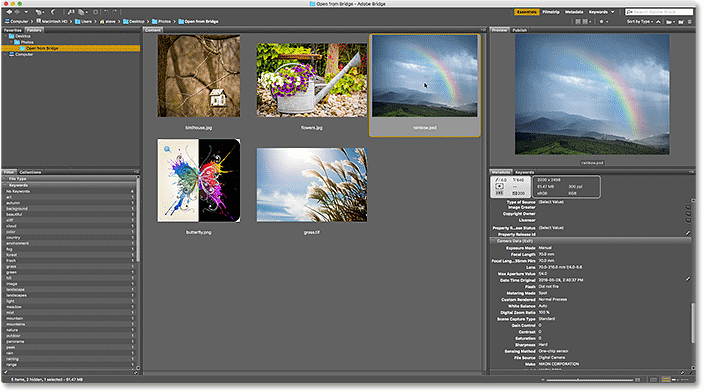 Sélectionnez l’image suivante dans Bridge.
