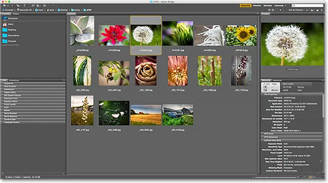 Choose the Browse in Bridge command from Photoshop's File menu.