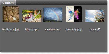 The Content panel displays thumbnails of your images.