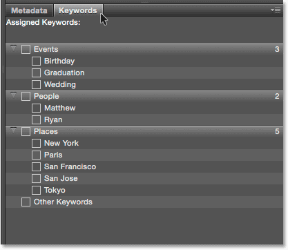 Keywords panel in Adobe Bridge CC. Image © 2015 Photoshop Essentials.com