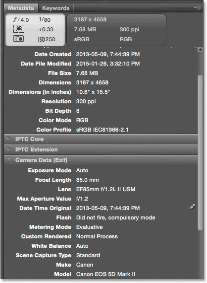 Panneau Métadonnées dans Adobe Bridge.