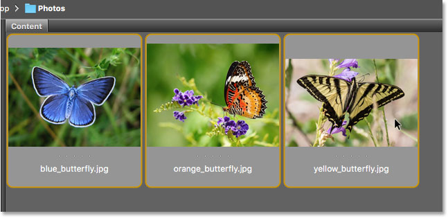 Sélectionnez trois images à ouvrir dans Adobe Bridge.