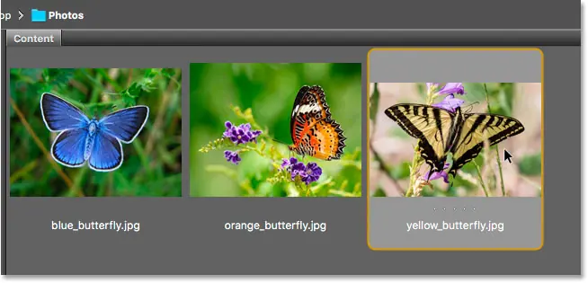 Select Open a third image from Adobe Bridge to Photoshop.