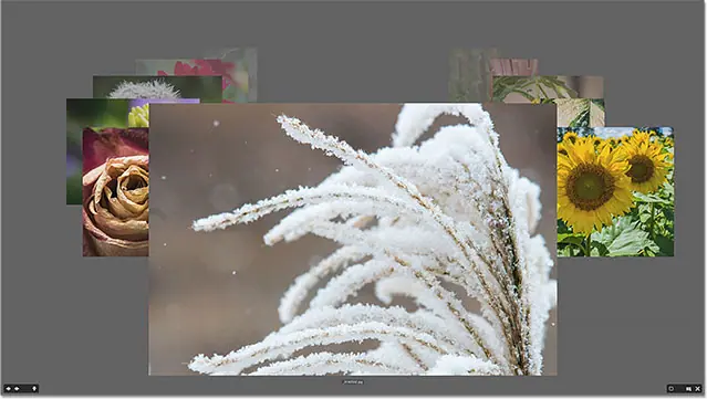 Use the magnifying glass to examine part of the image at 100%. Image © 2015 Photoshop Essentials.com
