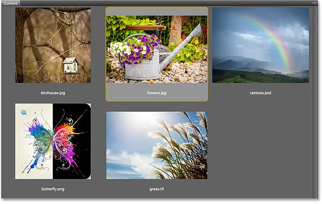 Sélectionnez une image dans le panneau Contenu de Bridge.