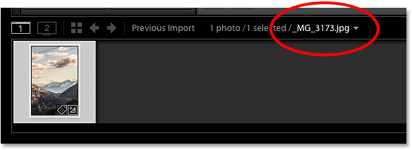 The bar above the movie bar in Lightroom displays the file name and extension.