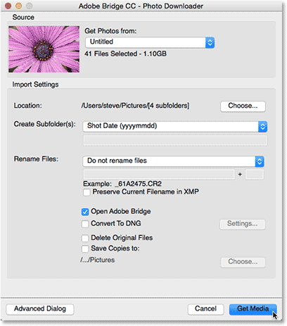 Adobe Photo Downloader in Bridge. Image © 2015 Photoshop Essentials.com