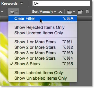 Clear filter in Bridge. Image © 2015 Photoshop Essentials.com