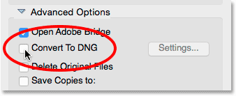 Option to convert to DNG in Photo Downloader.