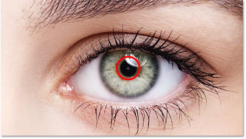 Place the cursor in the center of the other eye.