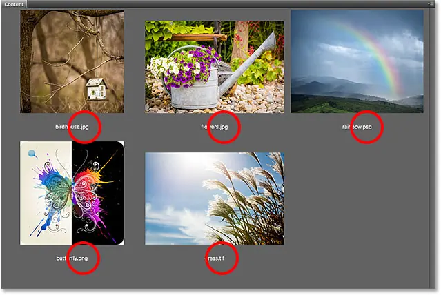 Affichez les extensions de type de fichier dans le panneau Contenu de Bridge.