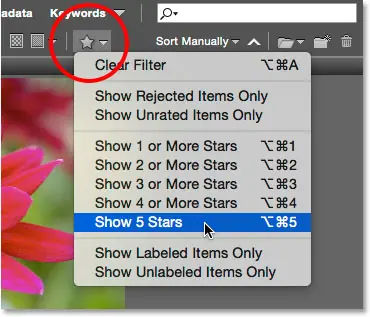 Filter images in the content panel based on star rating. Image © 2015 Photoshop Essentials.com