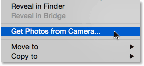Select the Get Photos from Camera command from the File menu in Adobe Bridge.