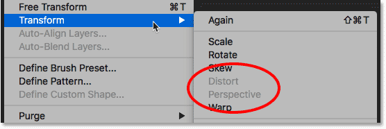 The Distort and Perspective transformation options are not available.