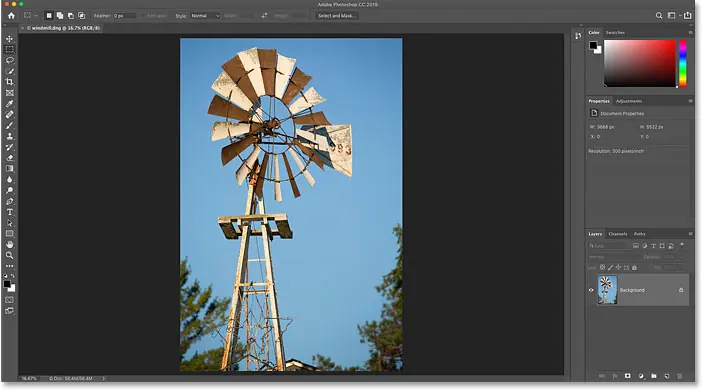 The image is open in Photoshop.