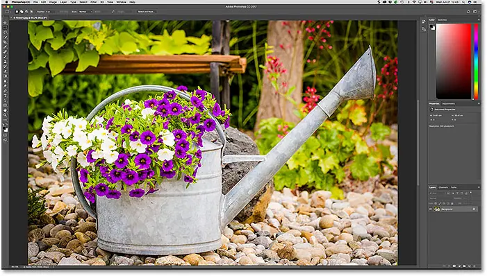 L'image sélectionnée dans Bridge s'ouvre dans Photoshop.