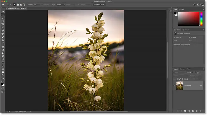 The image opens in Photoshop. Image credit: Steve Patterson