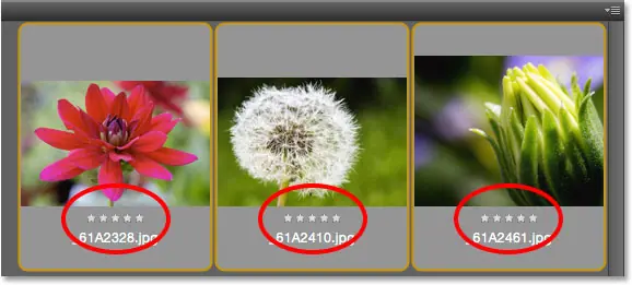 The five-star rating appears below three of the thumbnails in the content panel. Image © 2015 Photoshop Essentials.com