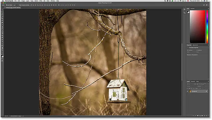 Le fichier JPEG s'ouvre dans Photoshop. Source de l'image : 2017 Steve Patterson.